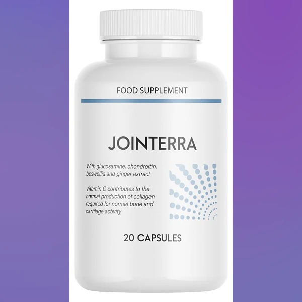 Jointerra